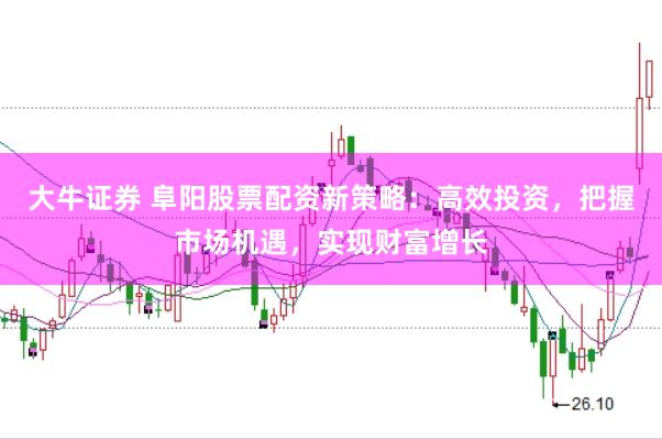 大牛证券 阜阳股票配资新策略：高效投资，把握市场机遇，实现财富增长
