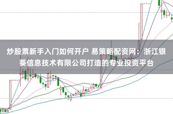 炒股票新手入门如何开户 易策略配资网：浙江银葵信息技术有限公司打造的专业投资平台