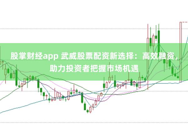 股掌财经app 武威股票配资新选择：高效融资，助力投资者把握市场机遇