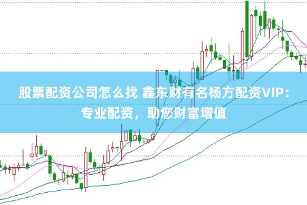 股票配资公司怎么找 鑫东财有名杨方配资VIP：专业配资，助您财富增值